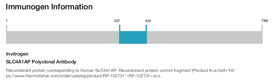 SLC4A1AP Polyclonal Antibody