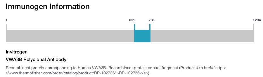 VWA3B Polyclonal Antibody