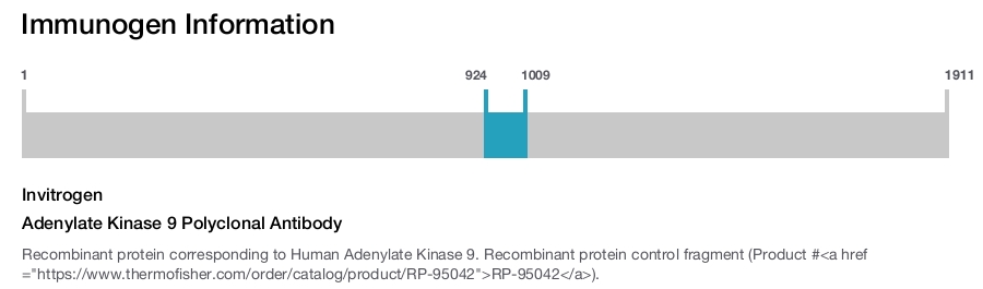 Adenylate Kinase 9 Polyclonal Antibody