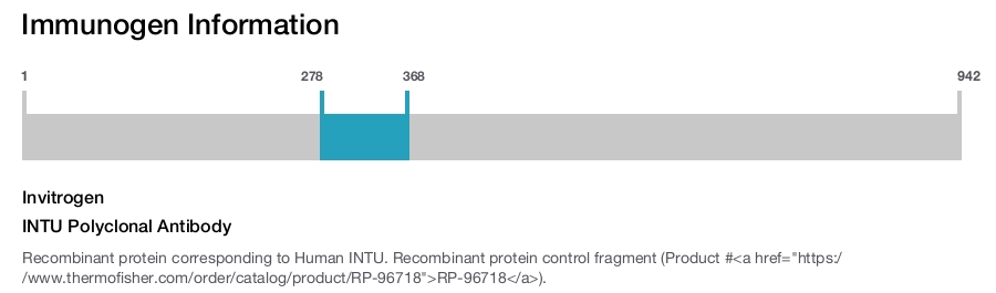 INTU Polyclonal Antibody