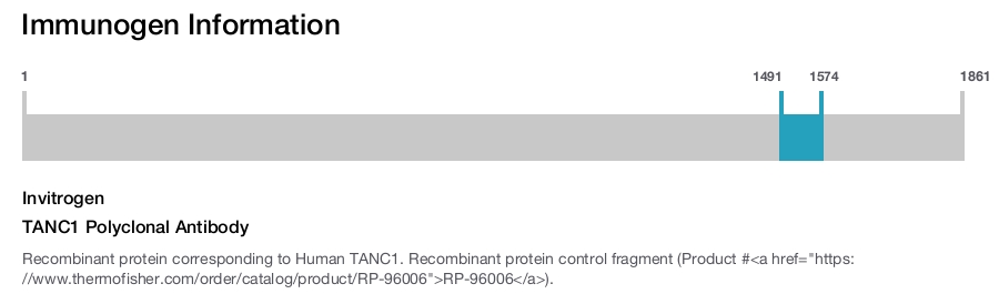 TANC1 Polyclonal Antibody