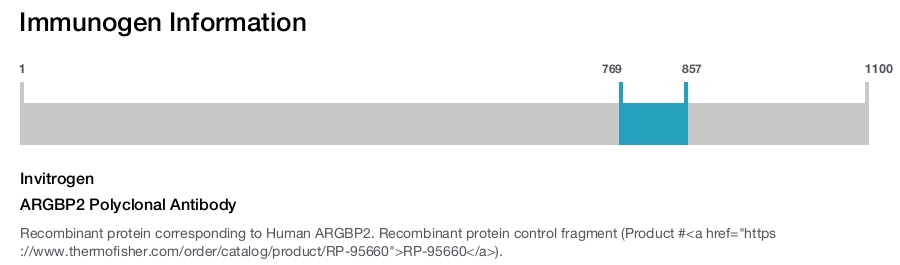 ARGBP2 Polyclonal Antibody