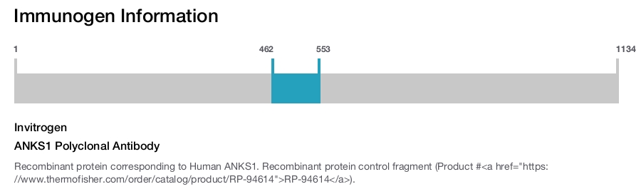 ANKS1 Polyclonal Antibody