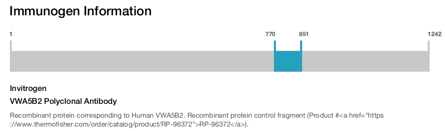 VWA5B2 Polyclonal Antibody