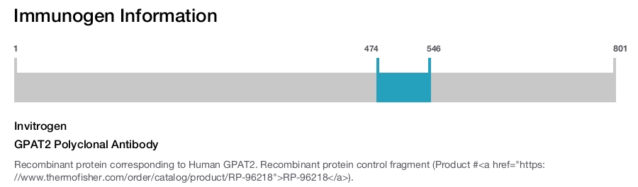 GPAT2 Polyclonal Antibody