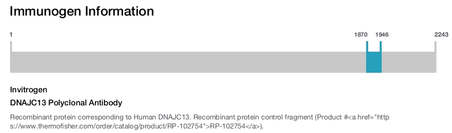 DNAJC13 Polyclonal Antibody