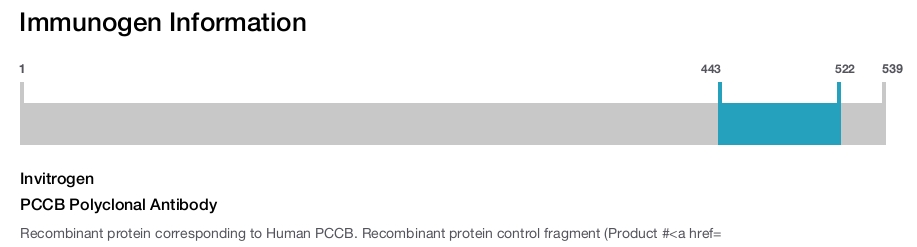 PCCB Polyclonal Antibody