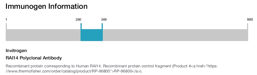 RAI14 Polyclonal Antibody