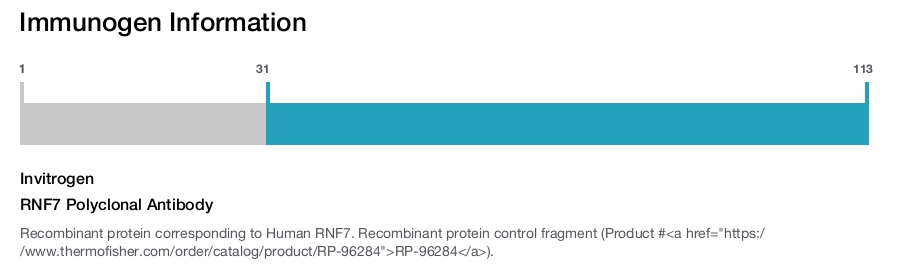 RNF7 Polyclonal Antibody
