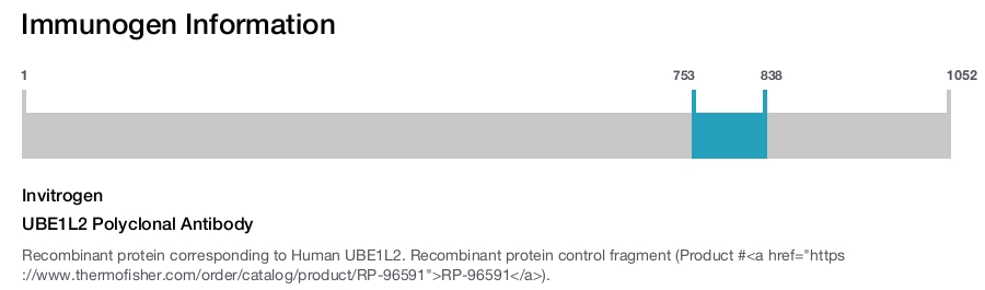 UBE1L2 Polyclonal Antibody