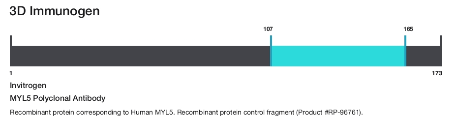 MYL5 Polyclonal Antibody