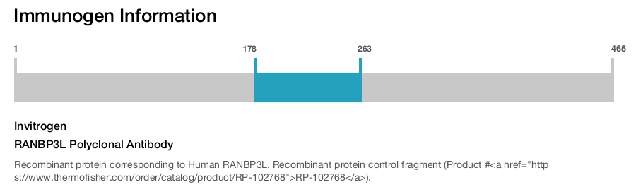 RANBP3L Polyclonal Antibody