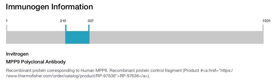 MPP9 Polyclonal Antibody