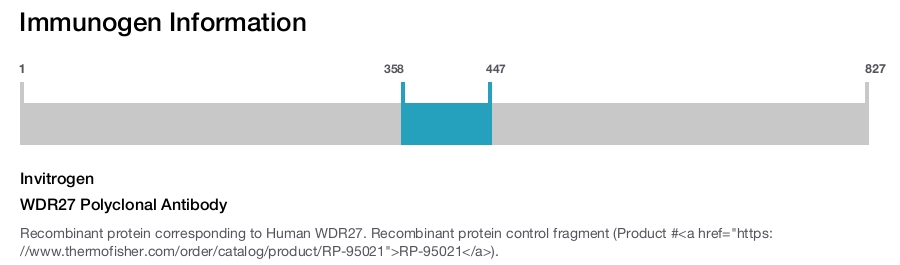 WDR27 Polyclonal Antibody