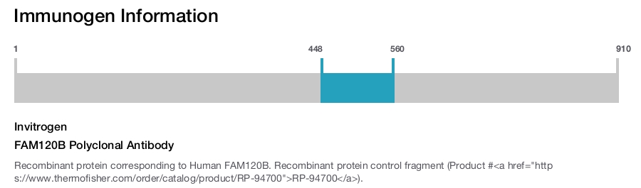 FAM120B Polyclonal Antibody