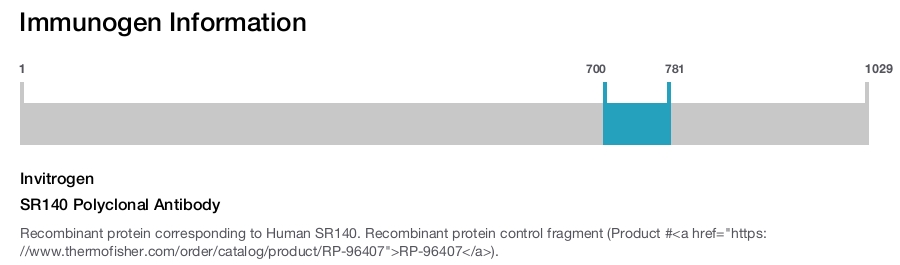 SR140 Polyclonal Antibody