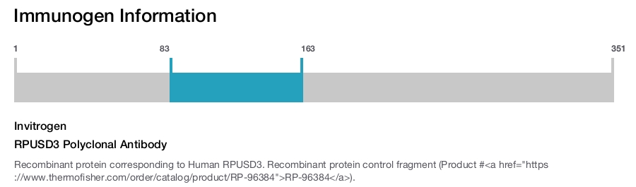 RPUSD3 Polyclonal Antibody