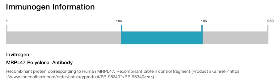 MRPL47 Polyclonal Antibody