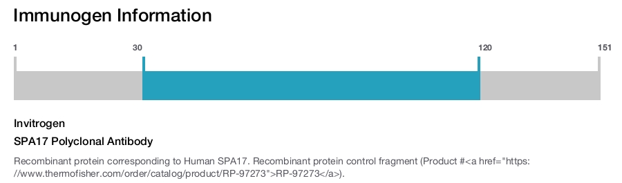 SPA17 Polyclonal Antibody