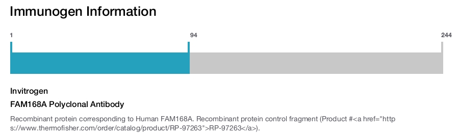 FAM168A Polyclonal Antibody