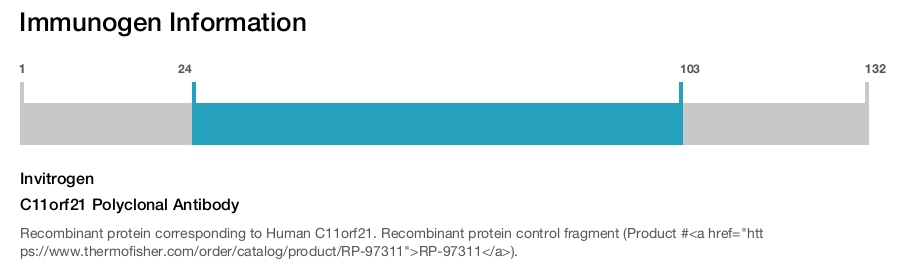 C11orf21 Polyclonal Antibody