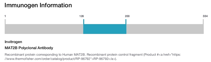 MAT2B Polyclonal Antibody
