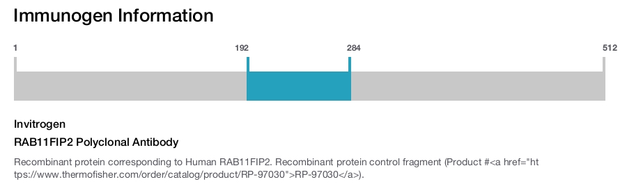 RAB11FIP2 Polyclonal Antibody