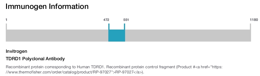 TDRD1 Polyclonal Antibody