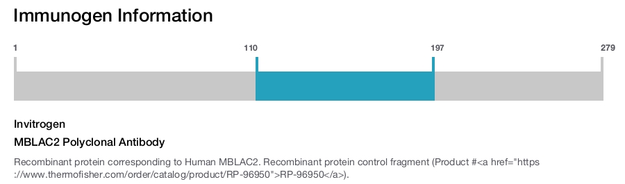MBLAC2 Polyclonal Antibody
