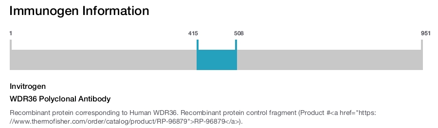 WDR36 Polyclonal Antibody
