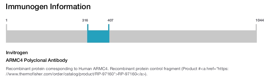 ARMC4 Polyclonal Antibody