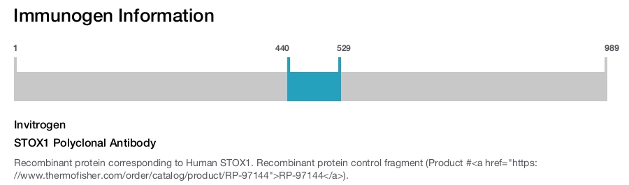 STOX1 Polyclonal Antibody