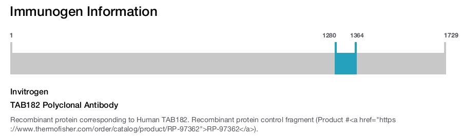 TAB182 Polyclonal Antibody