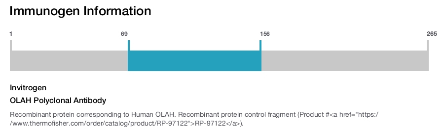 OLAH Polyclonal Antibody