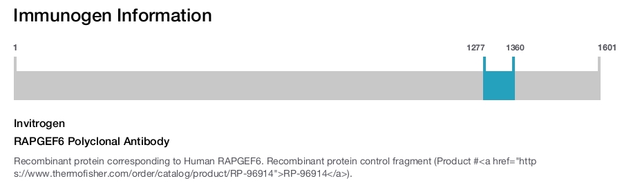RAPGEF6 Polyclonal Antibody
