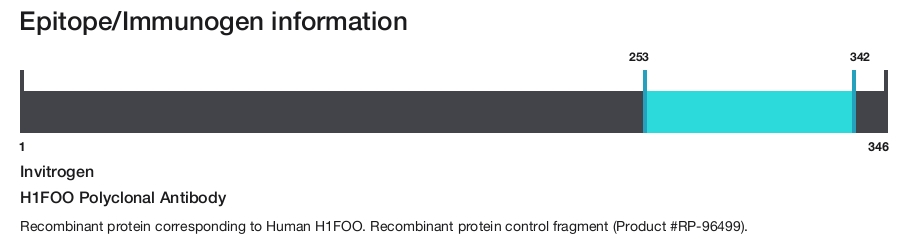 H1FOO Polyclonal Antibody