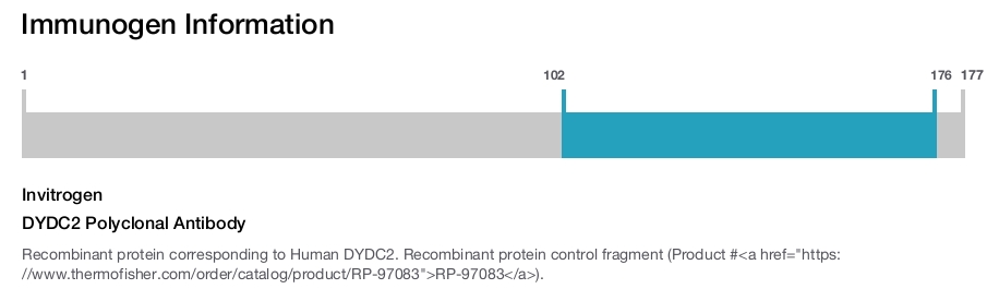 DYDC2 Polyclonal Antibody