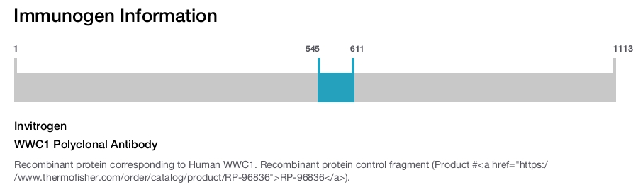 WWC1 Polyclonal Antibody