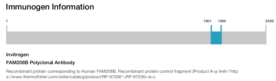 FAM208B Polyclonal Antibody