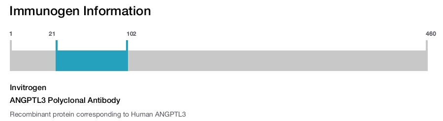 ANGPTL3 Polyclonal Antibody