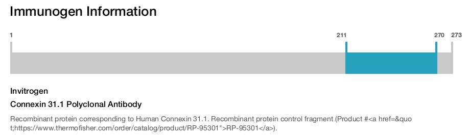 Connexin 31.1 Polyclonal Antibody