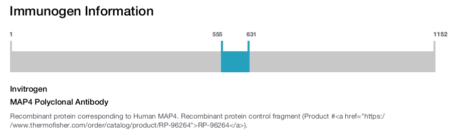 MAP4 Polyclonal Antibody