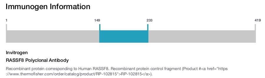 RASSF8 Polyclonal Antibody