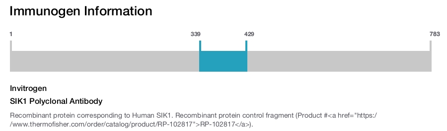 SIK1 Polyclonal Antibody