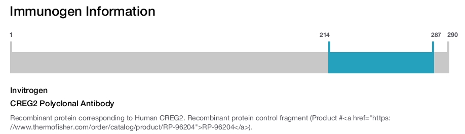 CREG2 Polyclonal Antibody