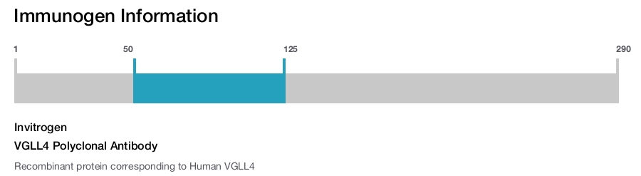 VGLL4 Polyclonal Antibody