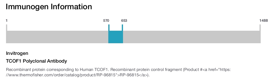 TCOF1 Polyclonal Antibody