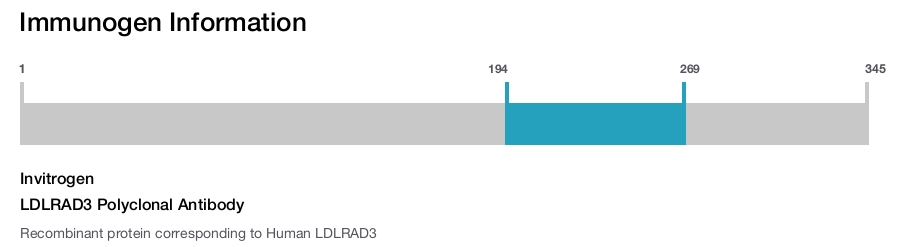 LDLRAD3 Polyclonal Antibody