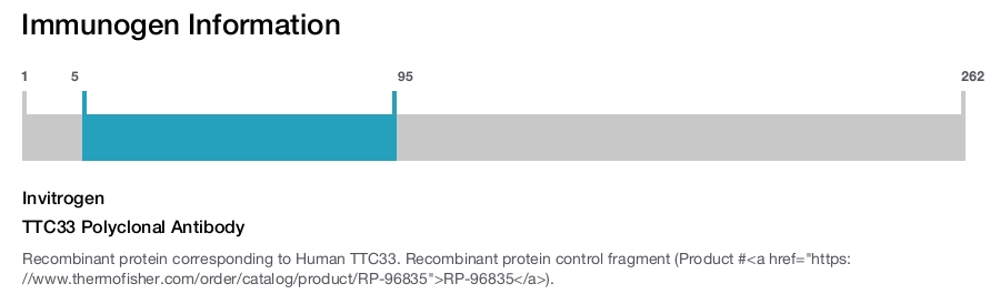 TTC33 Polyclonal Antibody
