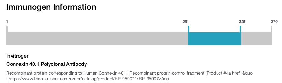 Connexin 40.1 Polyclonal Antibody